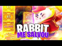 year of the rabbit fortune